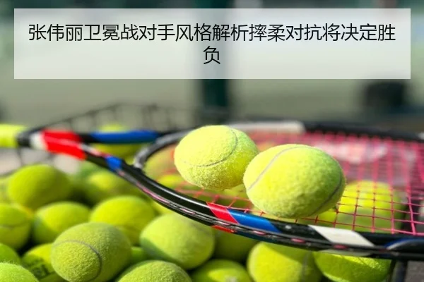 张伟丽卫冕战对手风格解析摔柔对抗将决定胜负