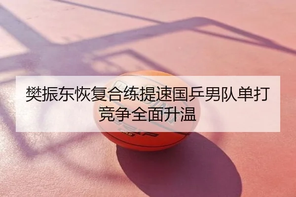 樊振东恢复合练提速国乒男队单打竞争全面升温