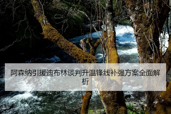 阿森纳引援迪布林谈判升温锋线补强方案全面解析