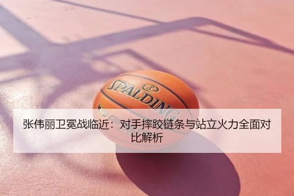 张伟丽卫冕战临近：对手摔跤链条与站立火力全面对比解析